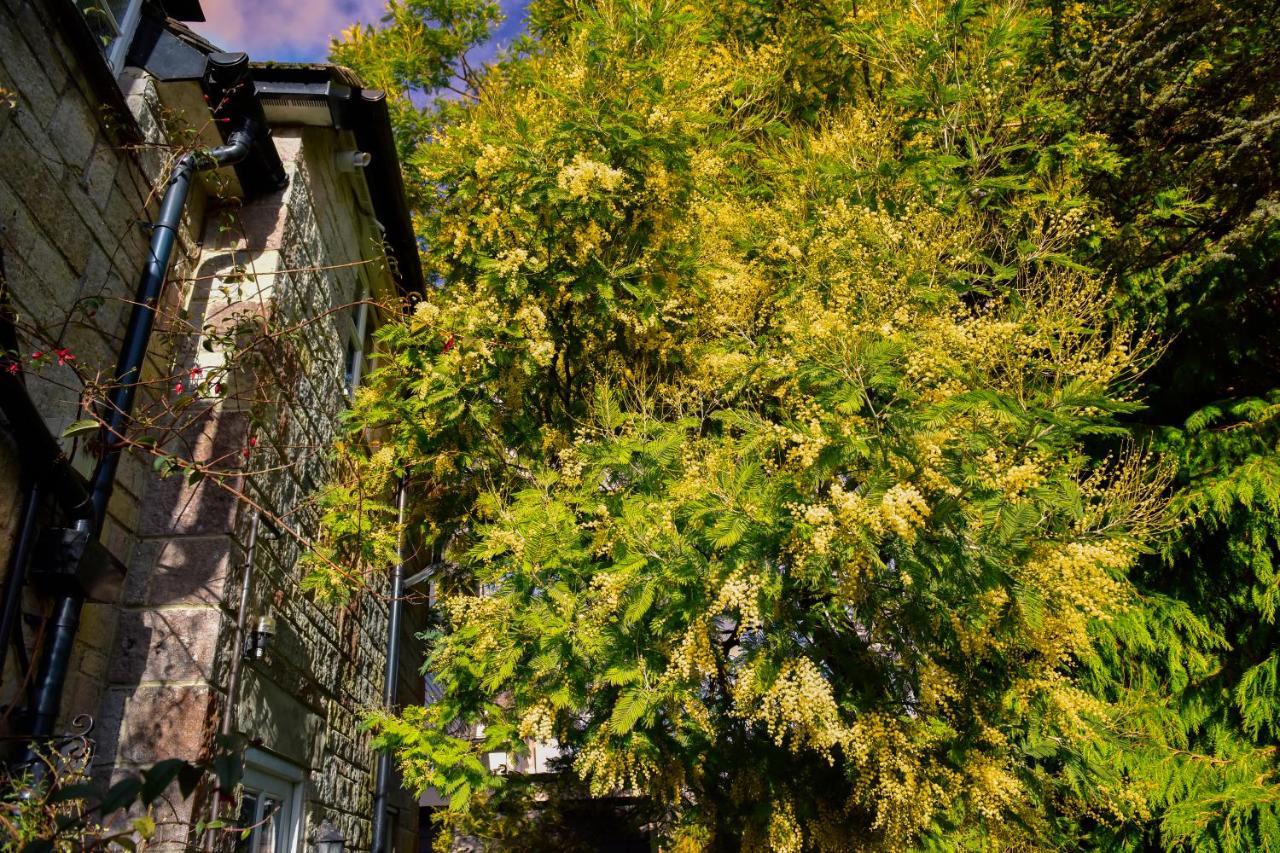 Ward Avenue B&B Cowes  Εξωτερικό φωτογραφία