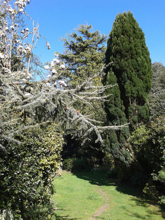 Ward Avenue B&B Cowes  Εξωτερικό φωτογραφία